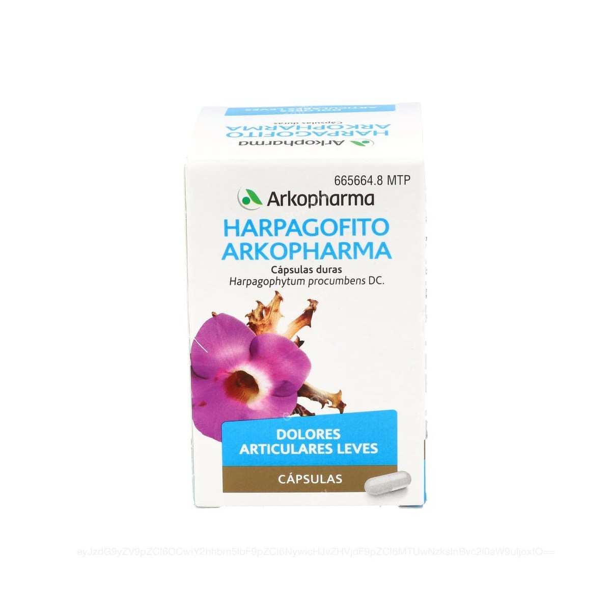 HARPAGOFITO ARKOPHARMA CAPSULAS DURAS, 84 capsulas